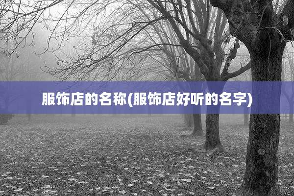 服饰店的名称(服饰店好听的名字)
