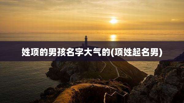 姓项的男孩名字大气的(项姓起名男)