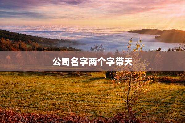 公司名字两个字带天