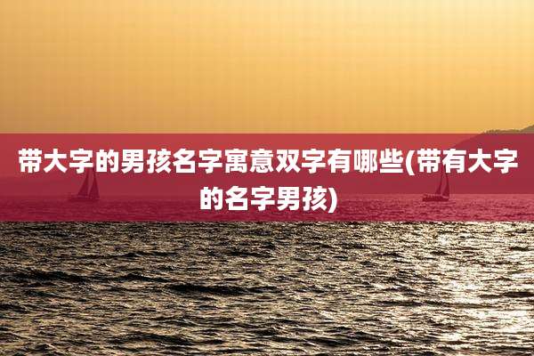 带大字的男孩名字寓意双字有哪些(带有大字的名字男孩)