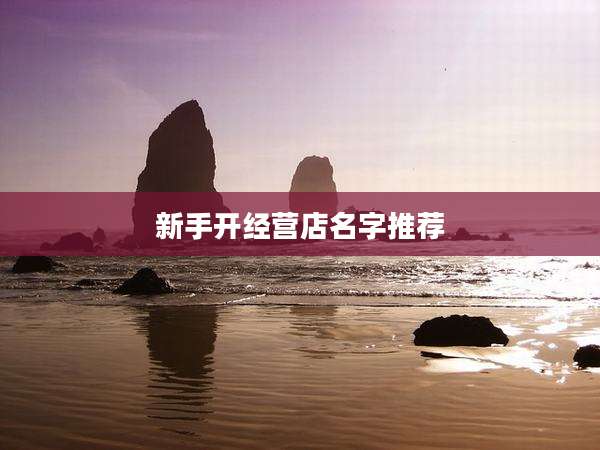 新手开经营店名字推荐