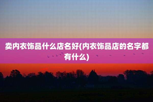 卖内衣饰品什么店名好(内衣饰品店的名字都有什么)