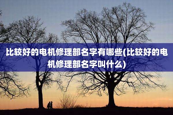 比较好的电机修理部名字有哪些(比较好的电机修理部名字叫什么)