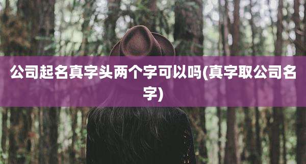 公司起名真字头两个字可以吗(真字取公司名字)