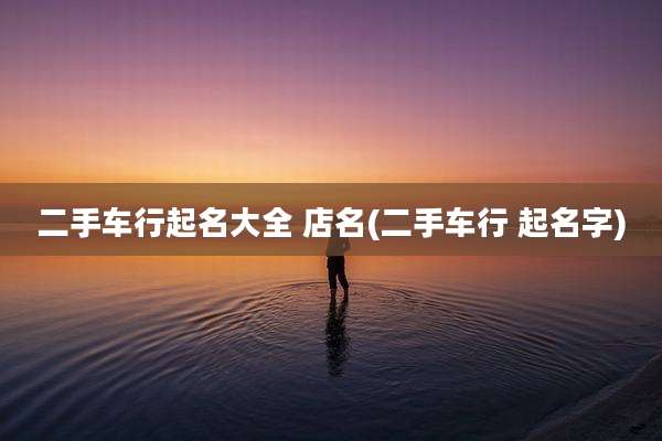 二手车行起名大全 店名(二手车行 起名字)