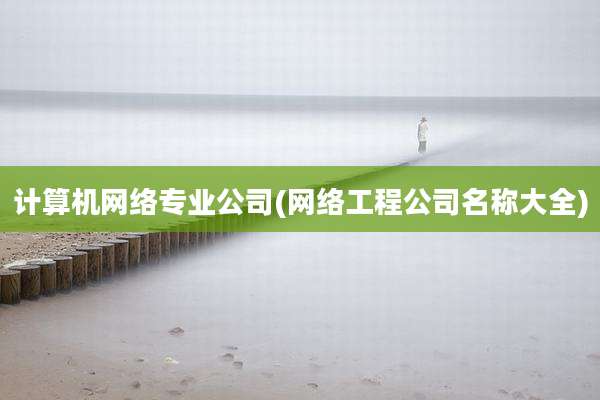 计算机网络专业公司(网络工程公司名称大全)