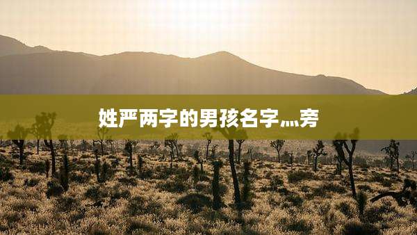 姓严两字的男孩名字灬旁