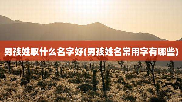 男孩姓取什么名字好(男孩姓名常用字有哪些)