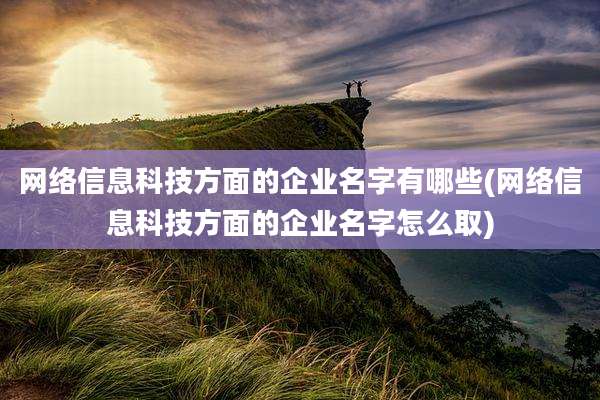 网络信息科技方面的企业名字有哪些(网络信息科技方面的企业名字怎么取)