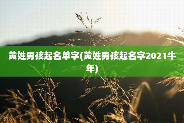 黄姓男孩起名单字(黄姓男孩起名字2021牛年)