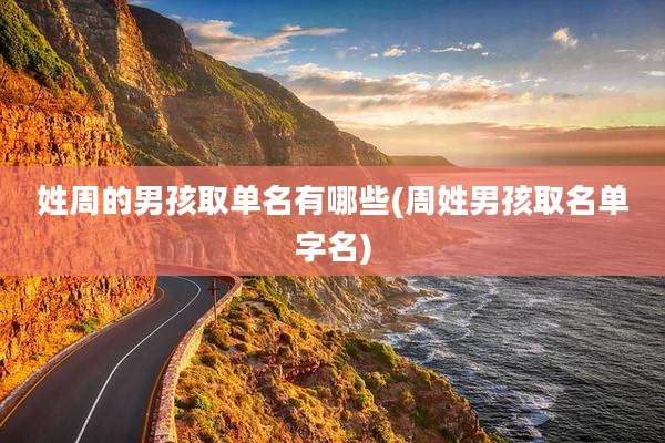姓周的男孩取单名有哪些(周姓男孩取名单字名)