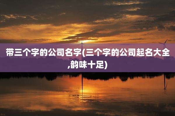 带三个字的公司名字(三个字的公司起名大全,韵味十足)