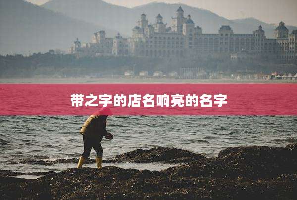 带之字的店名响亮的名字