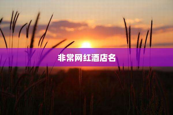 非常网红酒店名