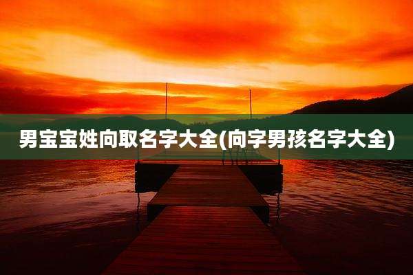 男宝宝姓向取名字大全(向字男孩名字大全)