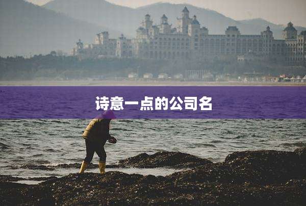 诗意一点的公司名