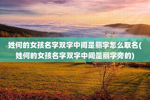 姓何的女孩名字双字中间是丽字怎么取名(姓何的女孩名字双字中间是丽字旁的)