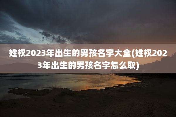 姓权2023年出生的男孩名字大全(姓权2023年出生的男孩名字怎么取)