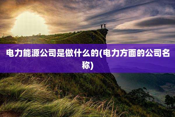 电力能源公司是做什么的(电力方面的公司名称)
