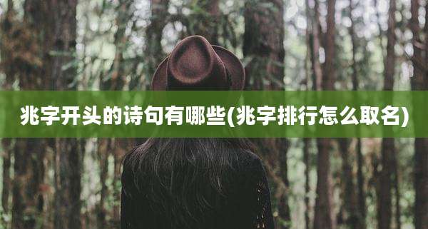 兆字开头的诗句有哪些(兆字排行怎么取名)