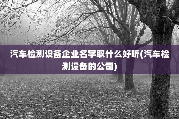 汽车检测设备企业名字取什么好听(汽车检测设备的公司)