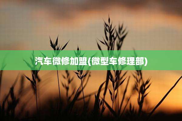 汽车微修加盟(微型车修理部)