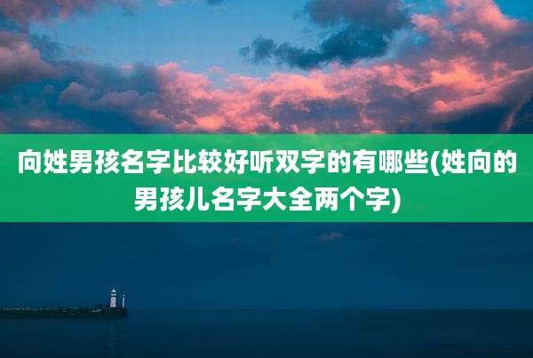 向姓男孩名字比较好听双字的有哪些(姓向的男孩儿名字大全两个字)