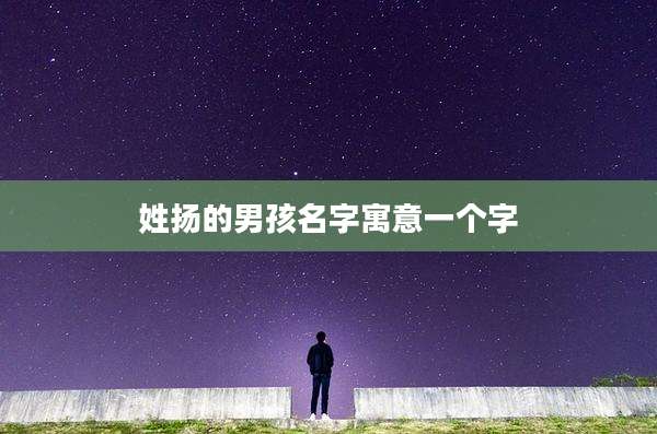 姓扬的男孩名字寓意一个字