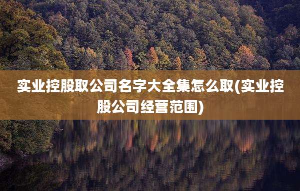 实业控股取公司名字大全集怎么取(实业控股公司经营范围)
