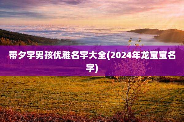 带夕字男孩优雅名字大全(2024年龙宝宝名字)