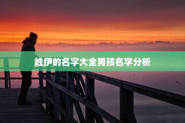姓伊的名字大全男孩名字分析