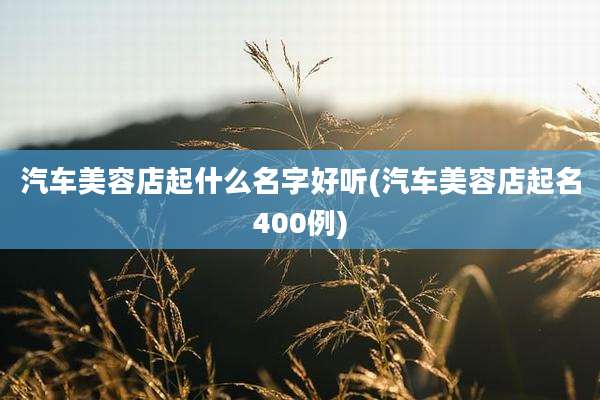 汽车美容店起什么名字好听(汽车美容店起名400例)
