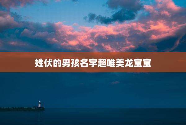 姓伏的男孩名字超唯美龙宝宝