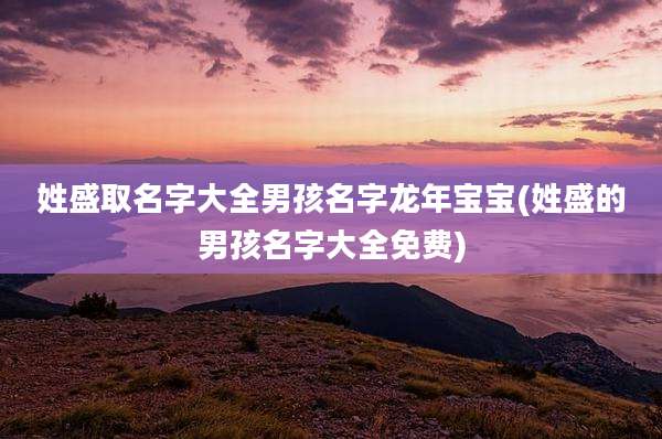 姓盛取名字大全男孩名字龙年宝宝(姓盛的男孩名字大全免费)