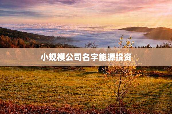 小规模公司名字能源投资