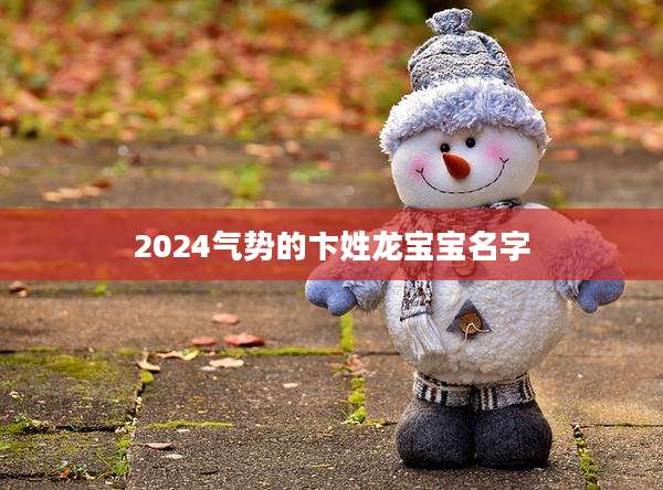2024气势的卞姓龙宝宝名字