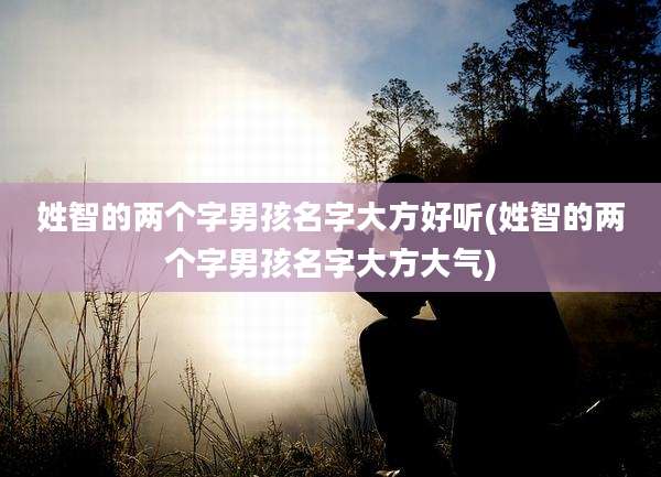 姓智的两个字男孩名字大方好听(姓智的两个字男孩名字大方大气)