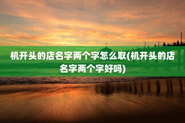 机开头的店名字两个字怎么取(机开头的店名字两个字好吗)