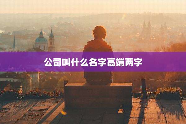 公司叫什么名字高端两字