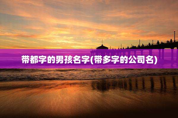 带都字的男孩名字(带多字的公司名)