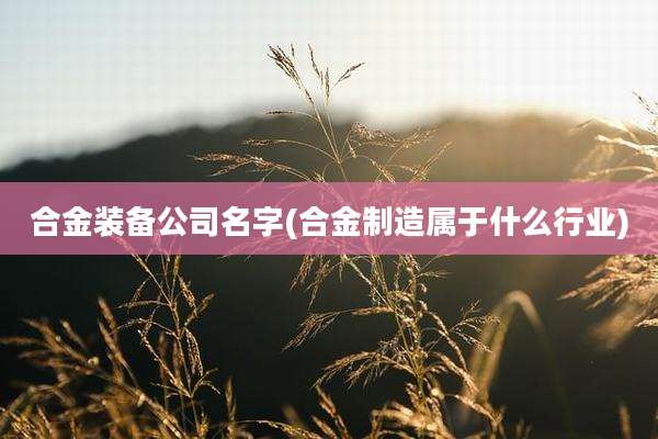 合金装备公司名字(合金制造属于什么行业)