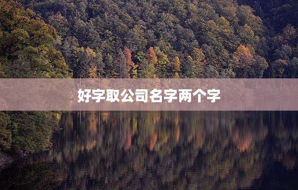 好字取公司名字两个字