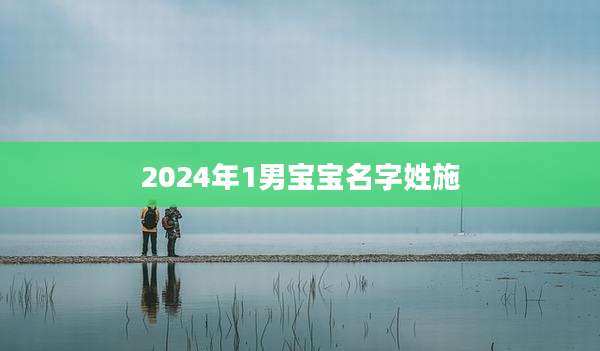 2024年1男宝宝名字姓施