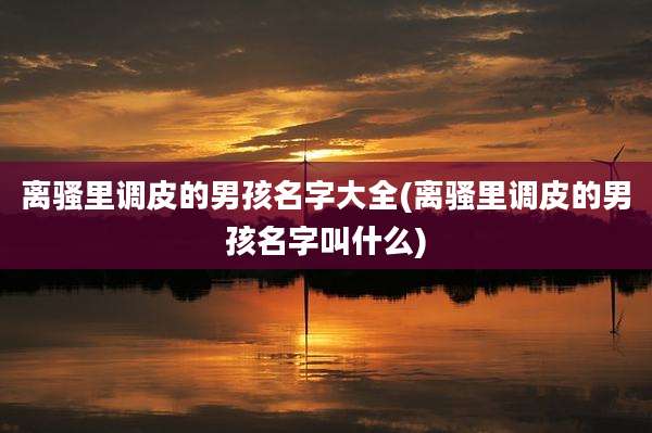 离骚里调皮的男孩名字大全(离骚里调皮的男孩名字叫什么)
