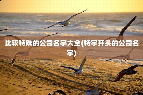 比较特殊的公司名字大全(特字开头的公司名字)