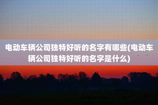 电动车辆公司独特好听的名字有哪些(电动车辆公司独特好听的名字是什么)