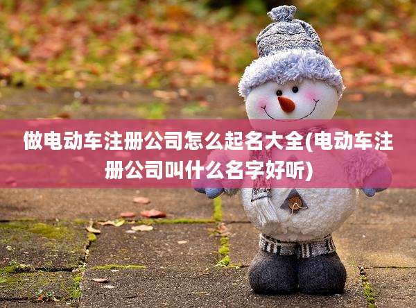 做电动车注册公司怎么起名大全(电动车注册公司叫什么名字好听)