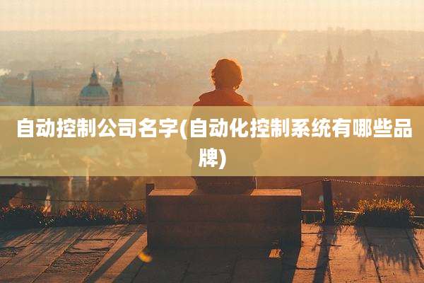 自动控制公司名字(自动化控制系统有哪些品牌)