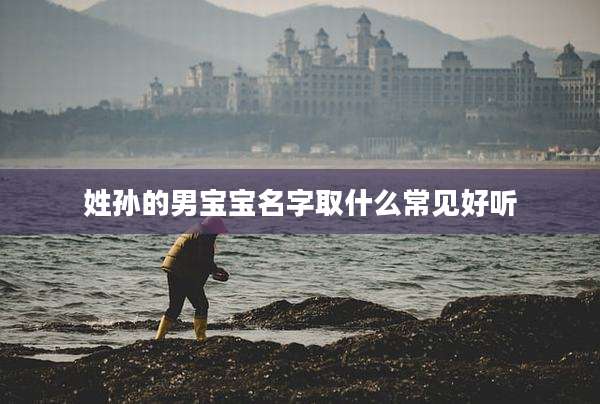 姓孙的男宝宝名字取什么常见好听
