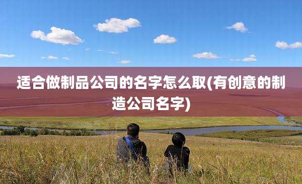 适合做制品公司的名字怎么取(有创意的制造公司名字)